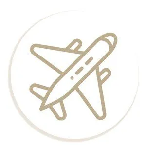 Tan airplane icon inside a white circle.
